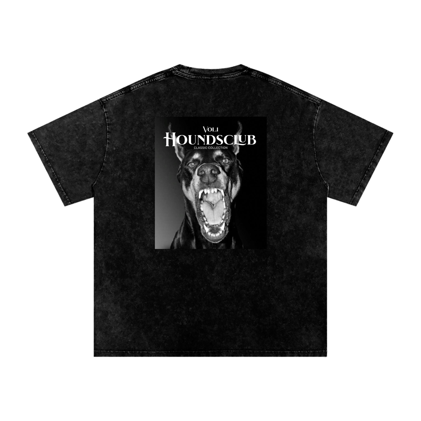 B&W2Back(Snow Washed Oversized Cotton T-Shirt)